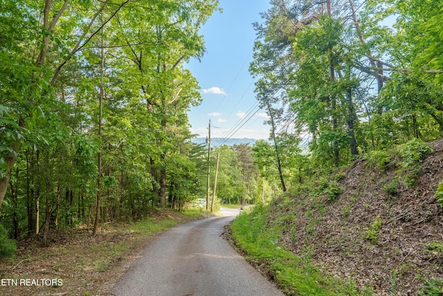 N Cunningham Rd, Seymour, TN 37865