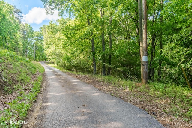 N Cunningham Rd, Seymour, TN 37865