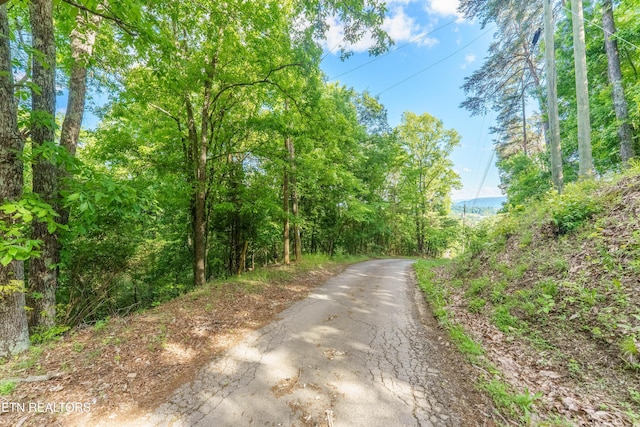 N Cunningham Rd, Seymour, TN 37865