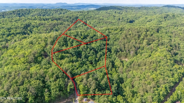N Cunningham Rd, Seymour, TN 37865