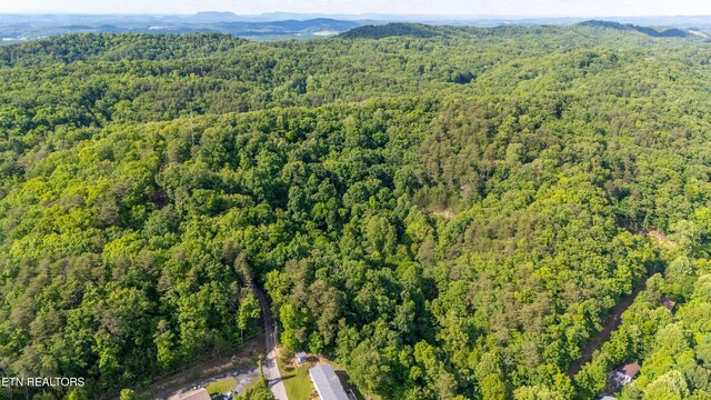 N Cunningham Rd, Seymour, TN 37865