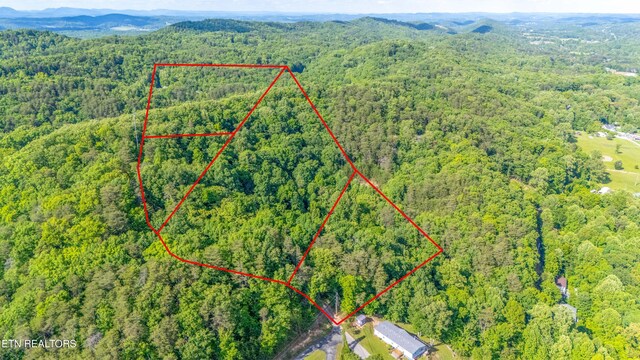 N Cunningham Rd, Seymour, TN 37865