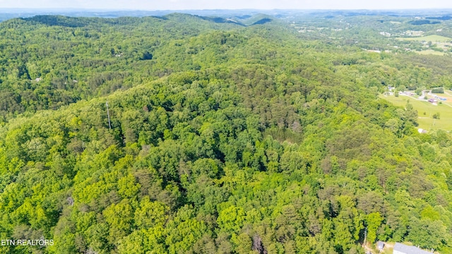 N Cunningham Rd, Seymour, TN 37865