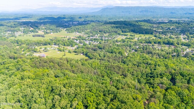 N Cunningham Rd, Seymour, TN 37865