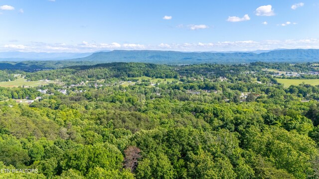 N Cunningham Rd, Seymour, TN 37865