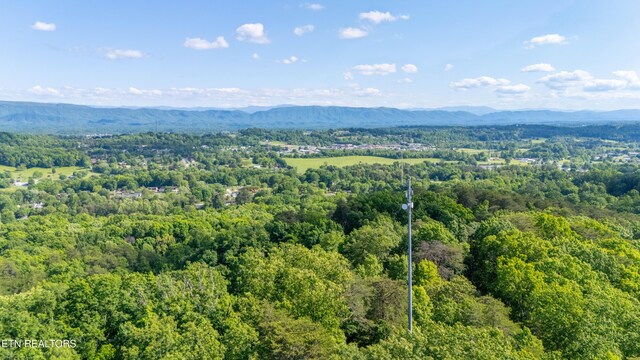 N Cunningham Rd, Seymour, TN 37865