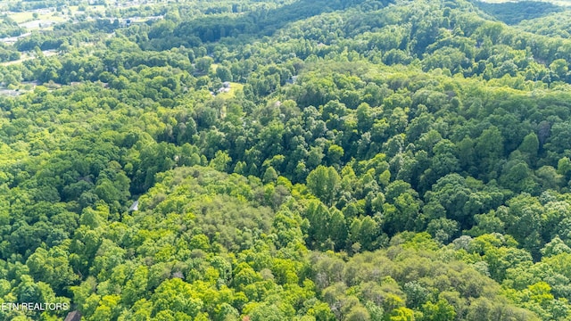 N Cunningham Rd, Seymour, TN 37865
