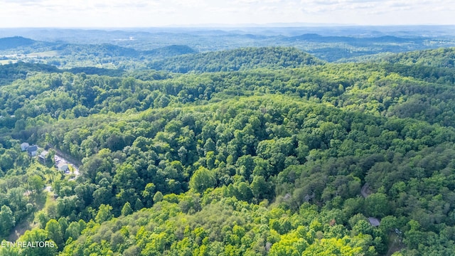 N Cunningham Rd, Seymour, TN 37865