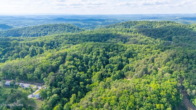 N Cunningham Rd, Seymour, TN 37865