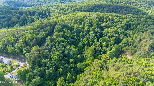 N Cunningham Rd, Seymour, TN 37865