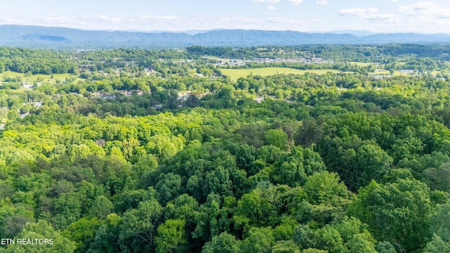 N Cunningham Rd, Seymour, TN 37865