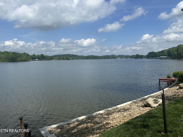 property view of water