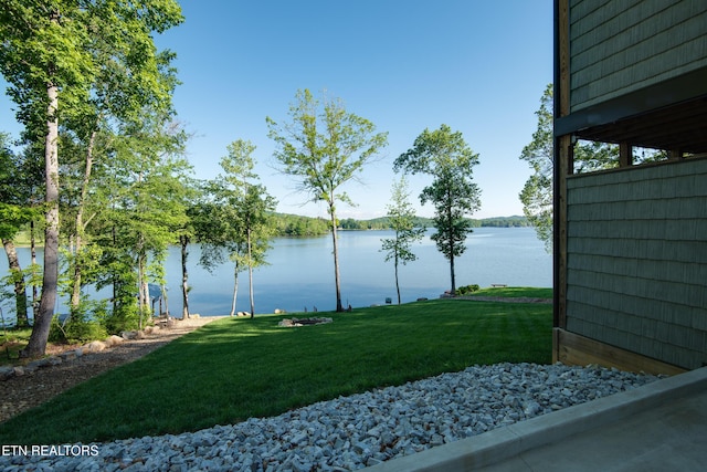 4290 River Rd, Ten Mile, TN 37880 - photo 8