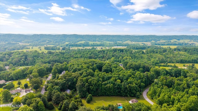 111 Stone Ridge Dr, Andersonville, TN 37705 - photo 54