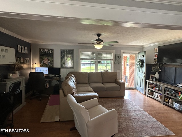 living room featuring crown molding, ceiling fan, and wood finished floors