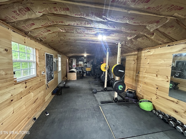 exercise room with wooden walls