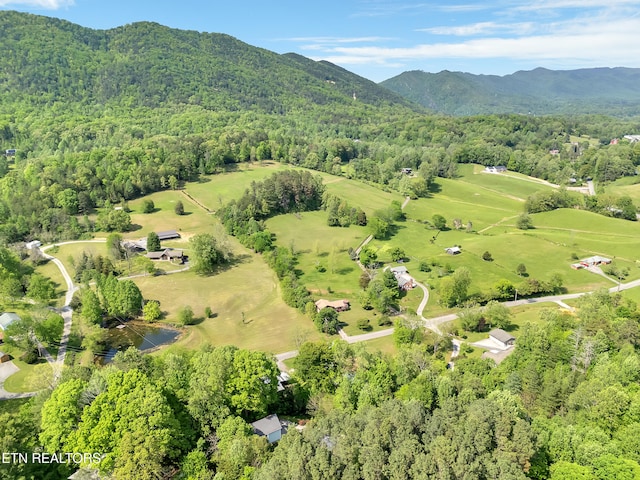621 W Millers Cove Rd, Walland, TN 37886 - photo 58