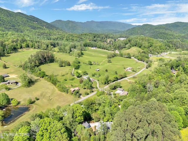 621 W Millers Cove Rd, Walland, TN 37886 - photo 59