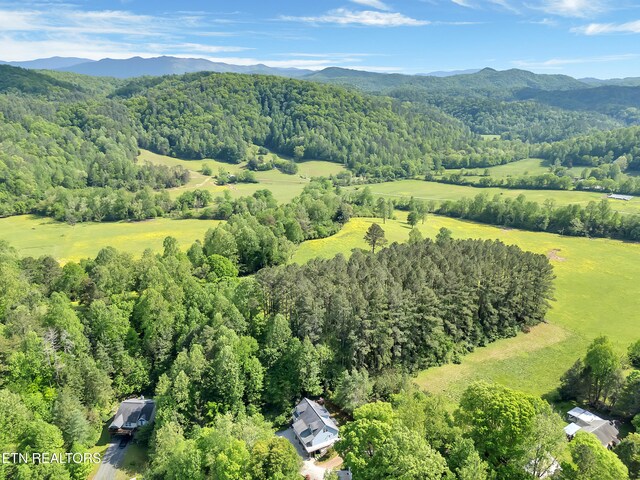 621 W Millers Cove Rd, Walland, TN 37886 - photo 57