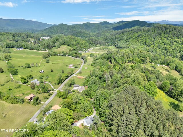 621 W Millers Cove Rd, Walland, TN 37886 - photo 56