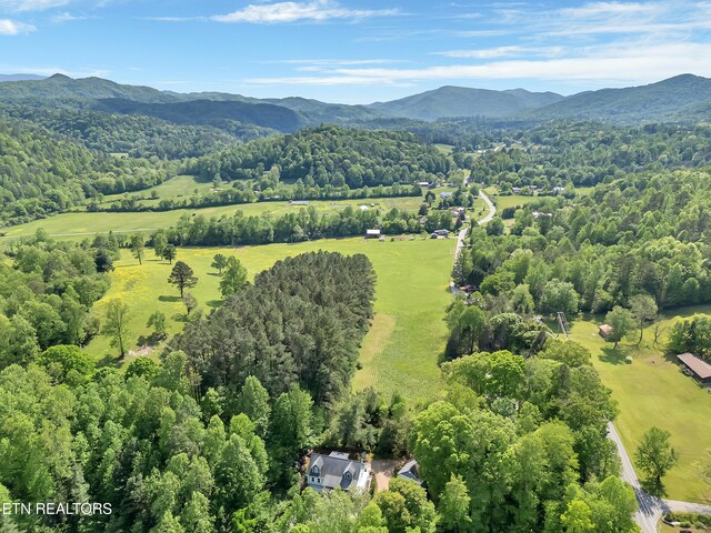 621 W Millers Cove Rd, Walland, TN 37886 - photo 55
