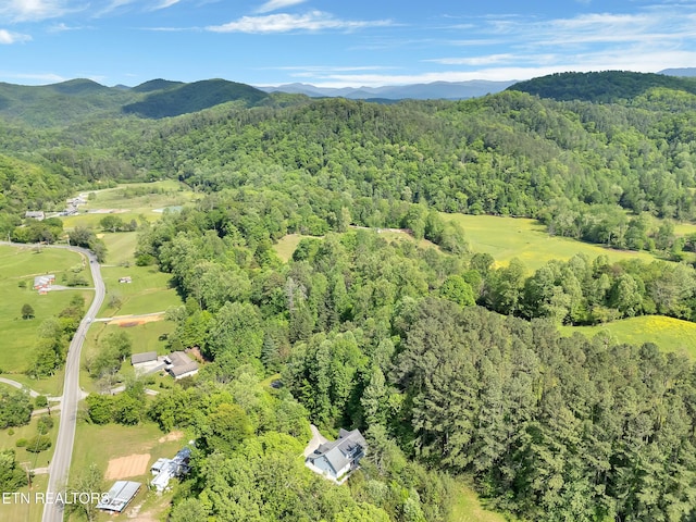 621 W Millers Cove Rd, Walland, TN 37886 - photo 54