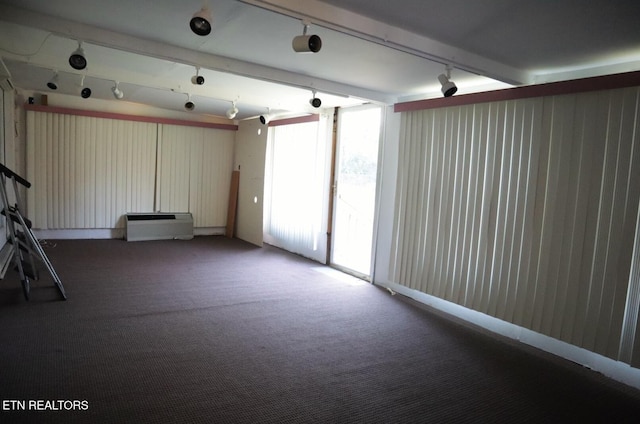 interior space featuring carpet floors and rail lighting