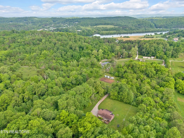 243 Bunch Ln, Clinton, TN 37716 - aerial view of a forest and a large body of water