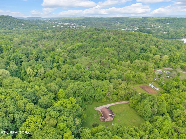 243 Bunch Ln, Clinton, TN 37716 - aerial overview of property's location with a forest