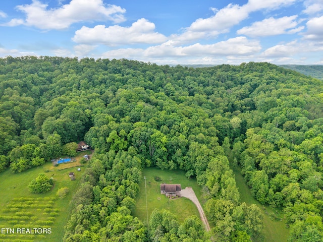 243 Bunch Ln, Clinton, TN 37716 - aerial view of a forest
