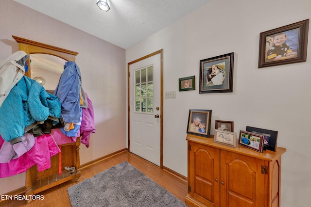 243 Bunch Ln, Clinton, TN 37716 - entryway with wood finished floors, baseboards, and a textured ceiling