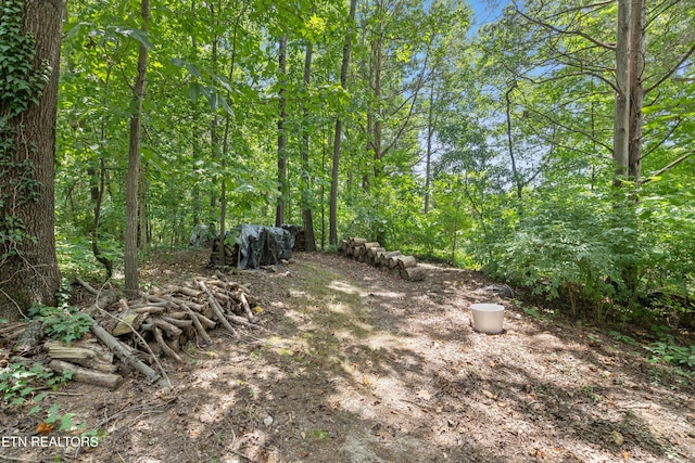 5808 Broughton Ct, Powell, TN 37849 - photo 44