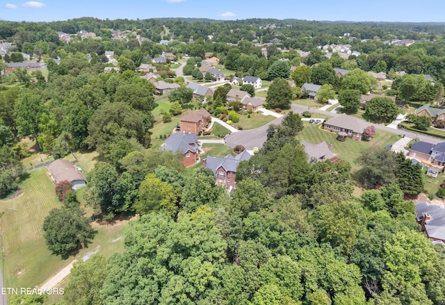 5808 Broughton Ct, Powell, TN 37849 - photo 45