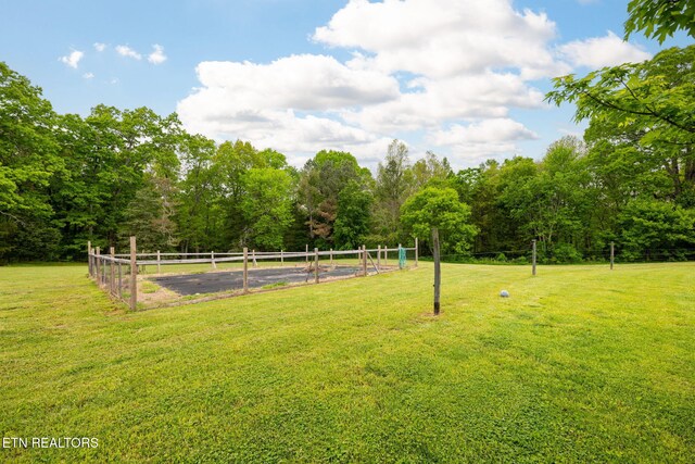 291 County Road 275, Niota, TN 37826 - view of yard
