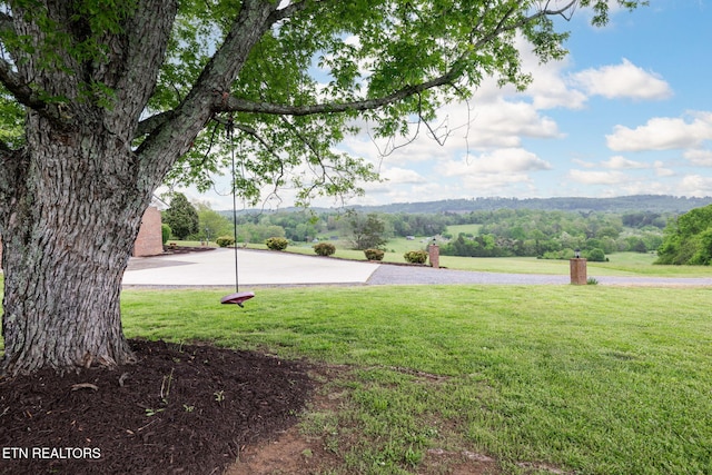 291 County Road 275, Niota, TN 37826 - view of green lawn