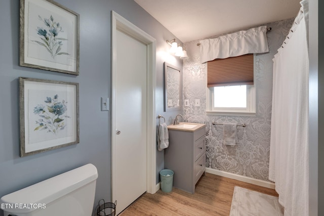 291 County Road 275, Niota, TN 37826 - bathroom featuring wood finished floors, vanity, toilet, and baseboards