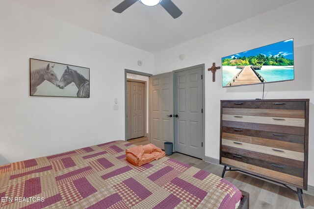 1045 Indian Gap Rd, Sevierville, TN 37876 - bedroom featuring light wood-style flooring and a ceiling fan