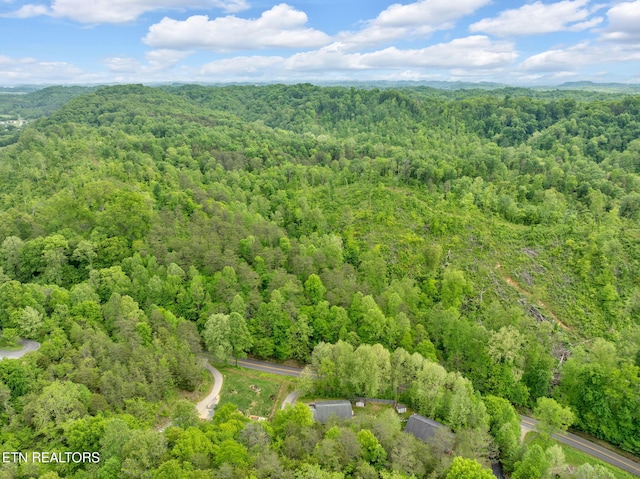 1045 Indian Gap Rd, Sevierville, TN 37876 - aerial view with a forest view
