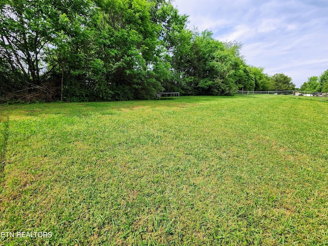 701 Misty Ridge Dr, Lenoir City, TN 37772 - view of yard