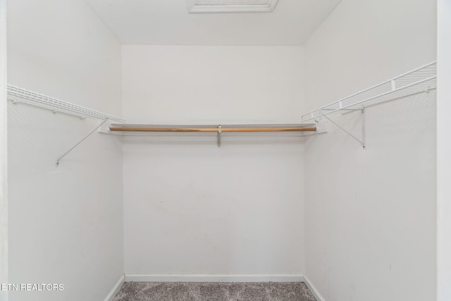 701 Misty Ridge Dr, Lenoir City, TN 37772 - walk in closet featuring carpet