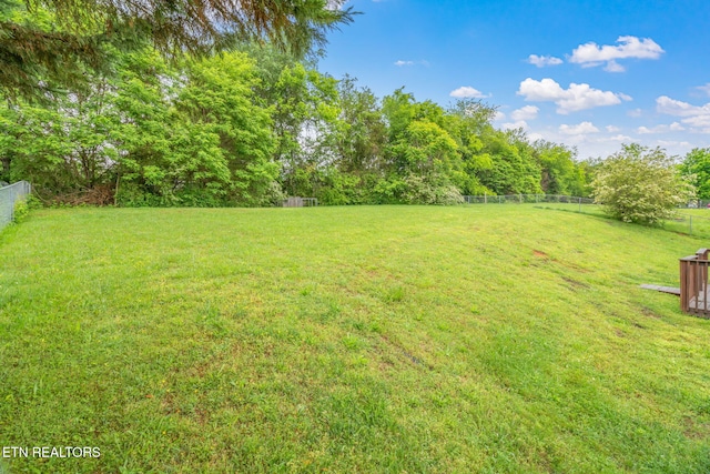 701 Misty Ridge Dr, Lenoir City, TN 37772 - view of yard