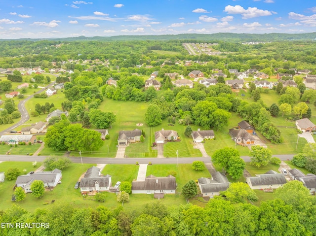 701 Misty Ridge Dr, Lenoir City, TN 37772 - aerial view of residential area