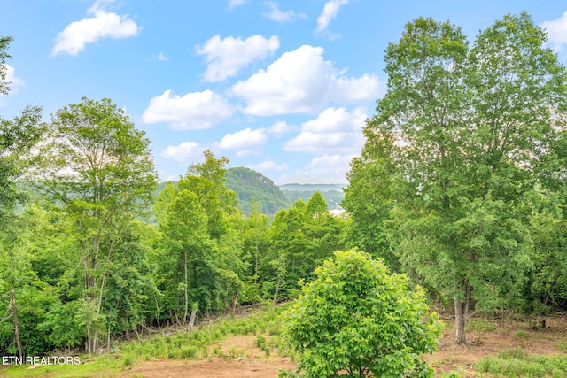 8440 Lakeland Dr, Lenoir City, TN 37772 - photo 49