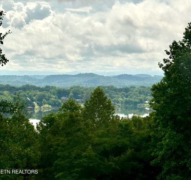 8440 Lakeland Dr, Lenoir City, TN 37772 - photo 50