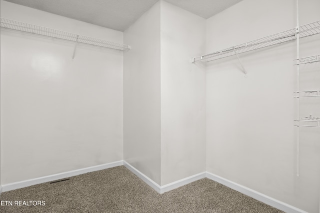 spacious closet featuring visible vents and carpet flooring