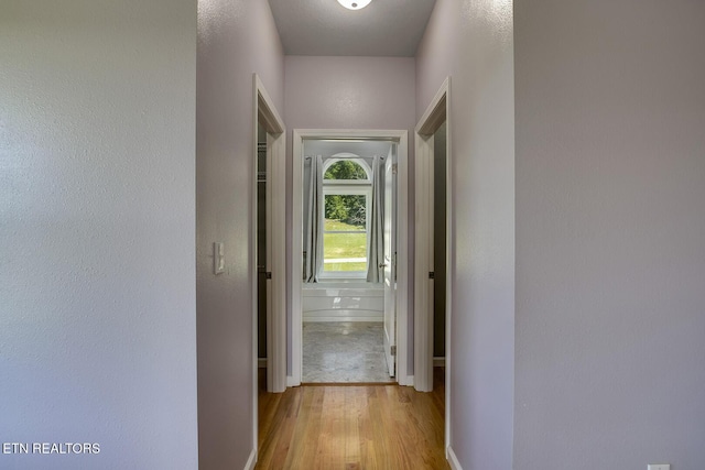 1118 Espalier Dr, Decatur, TN 37322 - photo 25