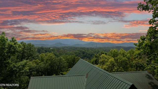 mountain view featuring a forest view