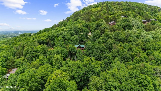 bird's eye view with a view of trees