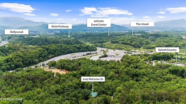 aerial view with a view of trees and a mountain view