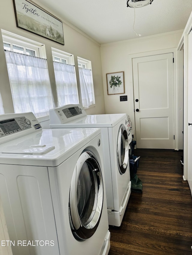 laundry room with washer and clothes dryer, laundry area, ornamental molding, and dark wood-style flooring